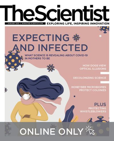 The Scientist's Magazine Cover