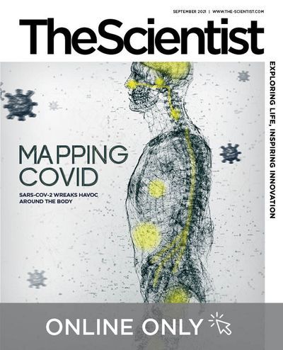 Online only cover of the The Scientist, September 2021 issue