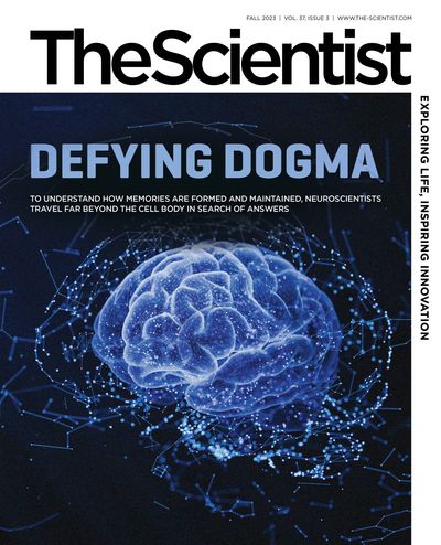 <em>The Scientist </em>Fall 2023 cover