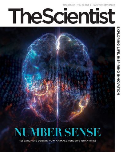Image of the October Cover of The Scientist