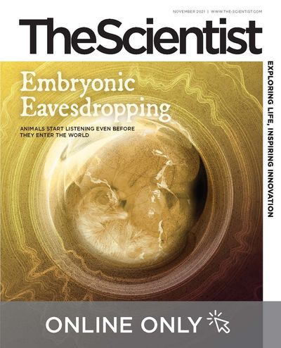 November cover of The Scientist