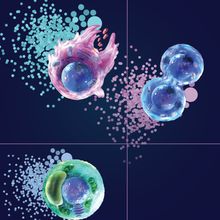 Dream Big and Achieve Real-Time Single Cell Imaging Without Camera Limitations