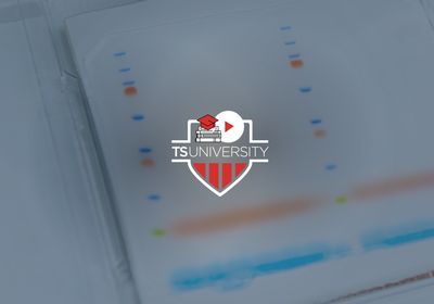 Turning the PAGE: Tips for Protein Electrophoresis and Western Blotting