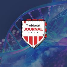 <em >The Scientist</em>&rsquo;s Journal Club: Detecting Nucleic Acids with CRISPR