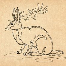 Illustration of a jackalope