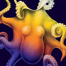 Cover of When Animals Dream: A colourful illustration of an octopus.<br><br>