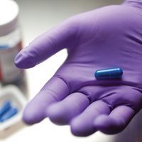 A person wearing a purple glove holds out a blue pill