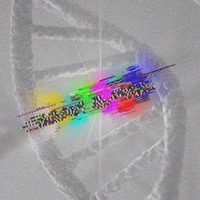 Composition of DNA with a glitch effect