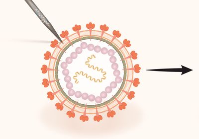 Illustration of virus with needle puncturing membrane