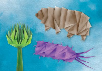 Illustration showing origami tardigrade, fungi and bacteria.