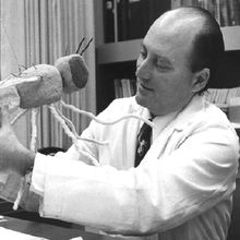 A man sitting at a desk in a white lab coat holds up a large model of a <em >Drosophila</em> fly. In the background is a window and a bookcase.