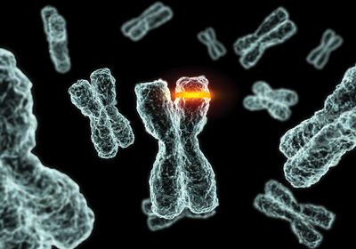 A computer-generated image of chromosomes on a black background. One chromosome has a ring of bright orange to indicate a mutation.
