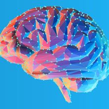 Colorful blue and pink low poly side view human brain illustration with connection dots isolated on bright blue background