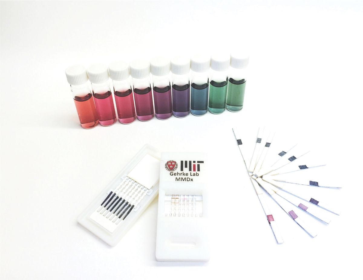 The image shows colored solutions in tubes and a kit for lateral flow assay.