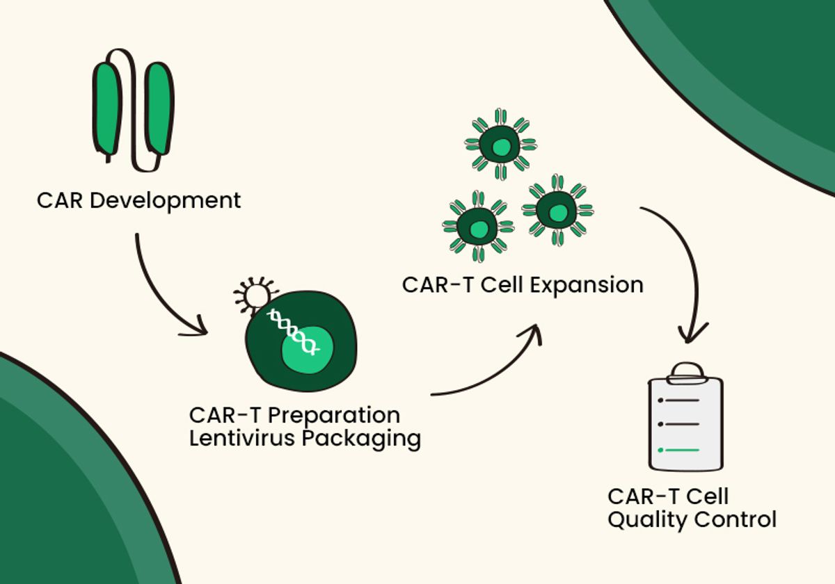 Graphic showing steps of CAR-T development, including lentiviral packaging, CAR-T cell expansion, and quality control.