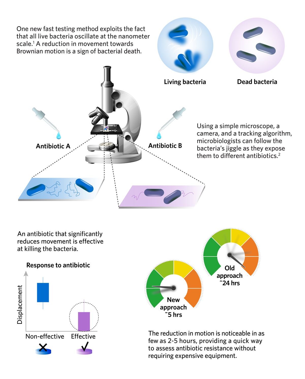 Infographic showing a new way to assess antibiotic effectiveness based on how much bacteria jiggle