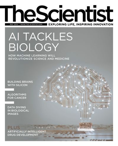 May 2019 The Scientist Issue