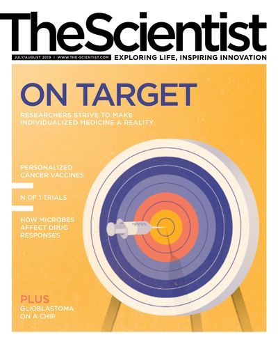 On Target July Issue The Scientist