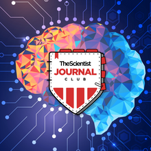 <em >The Scientist</em>&rsquo;s Journal Club: Neuroscience