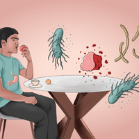 Infographic: Deciphering Diet from Blood and Urine Samples