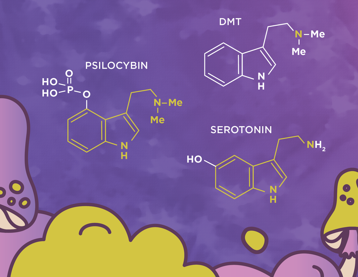 Chemical structures of DMT, Psilocybin, Serotonin