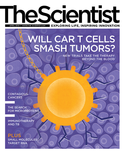 The Scientist April 2019 Issue