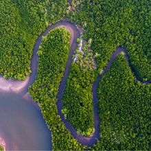 Arial view of a water canal winding through a forest and spilling into the ocean.