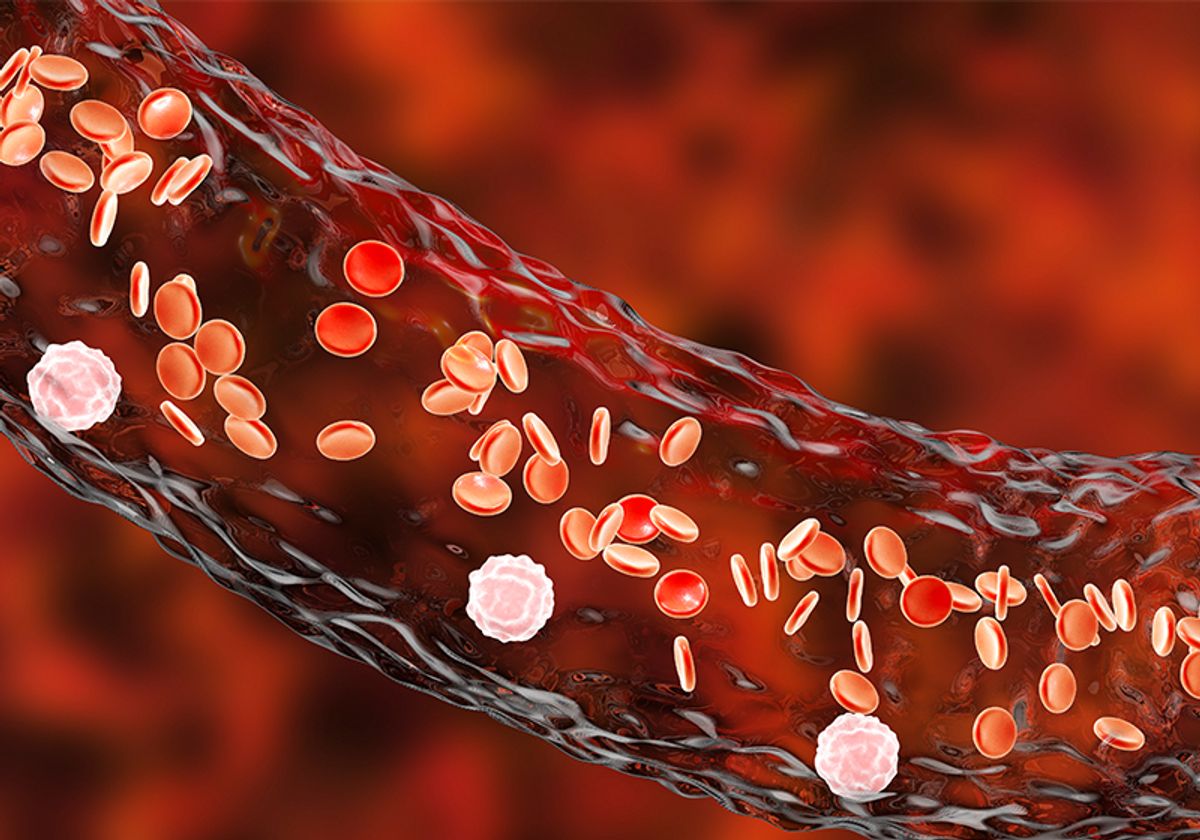 Blood vessel with flowing red blood cells and white immune cells