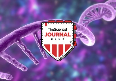 Journal club logo on purple background