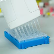 Streamline qPCR for Better Data