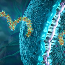 Scalable and reproducible solutions in CAR T cell therapy workflows&nbsp;