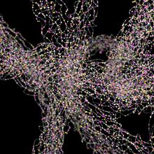 Visualize Transcript Location with Spatial Biology Techniques