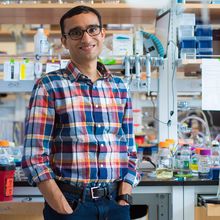 Photo of Ankara Jain in his lab