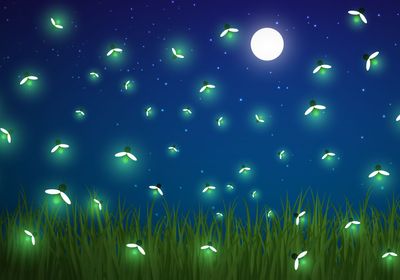 Illustration of glowing fireflies