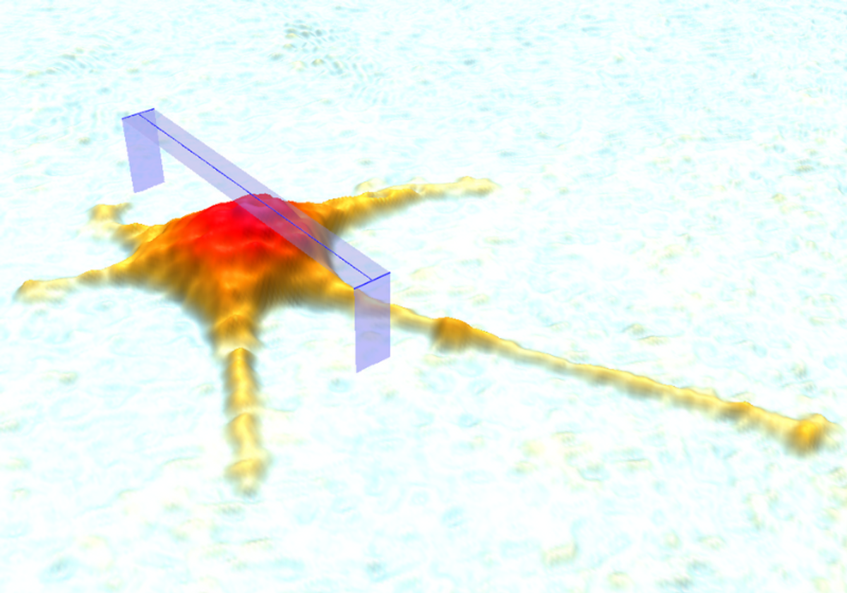 Imaging of cell during motility assay