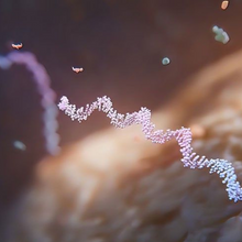 3d render illustration of Single strand ribonucleic acid. 